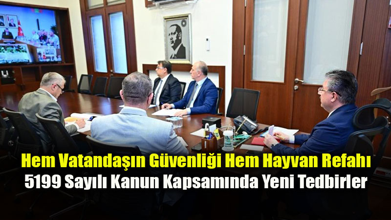 Eski�ehir’de Sahipsiz Hayvanlar ��in Yol Haritas� Belirleniyor