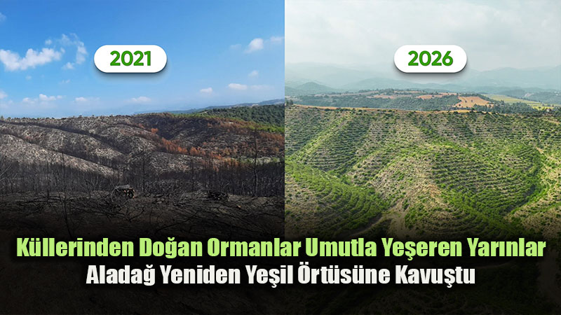 Do�an�n Yeniden Do�u�u: Alada�’da Yanan Sahalara �nsan Eme�i Dokundu