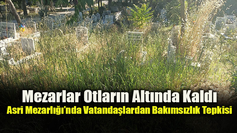 Vatanda� �syan Etti, Belediye Seyretti: Kabir Ziyaretleri �ileye D�n��t�, Yang�n Riski Kap�da