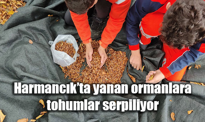 Harmanc�k’ta Yanan Ormanlara Tohumlar Serpilerek Rehabilitasyon Ba�lat�ld�