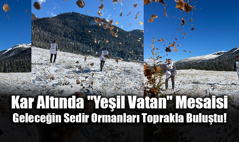 Kar Alt�nda "Ye�il Vatan" Mesaisi: Gelece�in Sedir Ormanlar� Toprakla Bulu�tu!