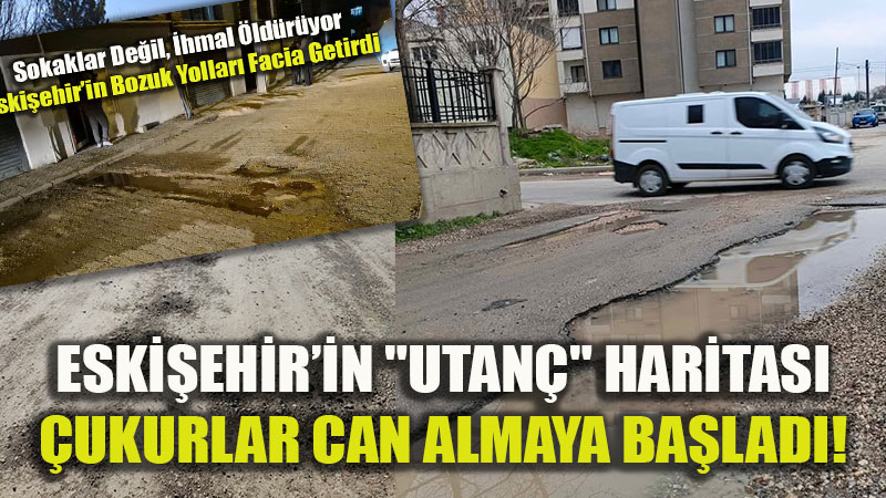 Bir �ehrin �hmal G�nl���: Ara�lardan Sonra �imdi de Canlar Gidiyor!
