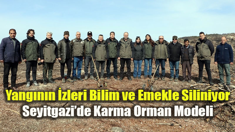 Seyitgazi�de K�llerinden Do�u�: Yanan Orman Alanlar� Yeniden Ye�eriyor!
